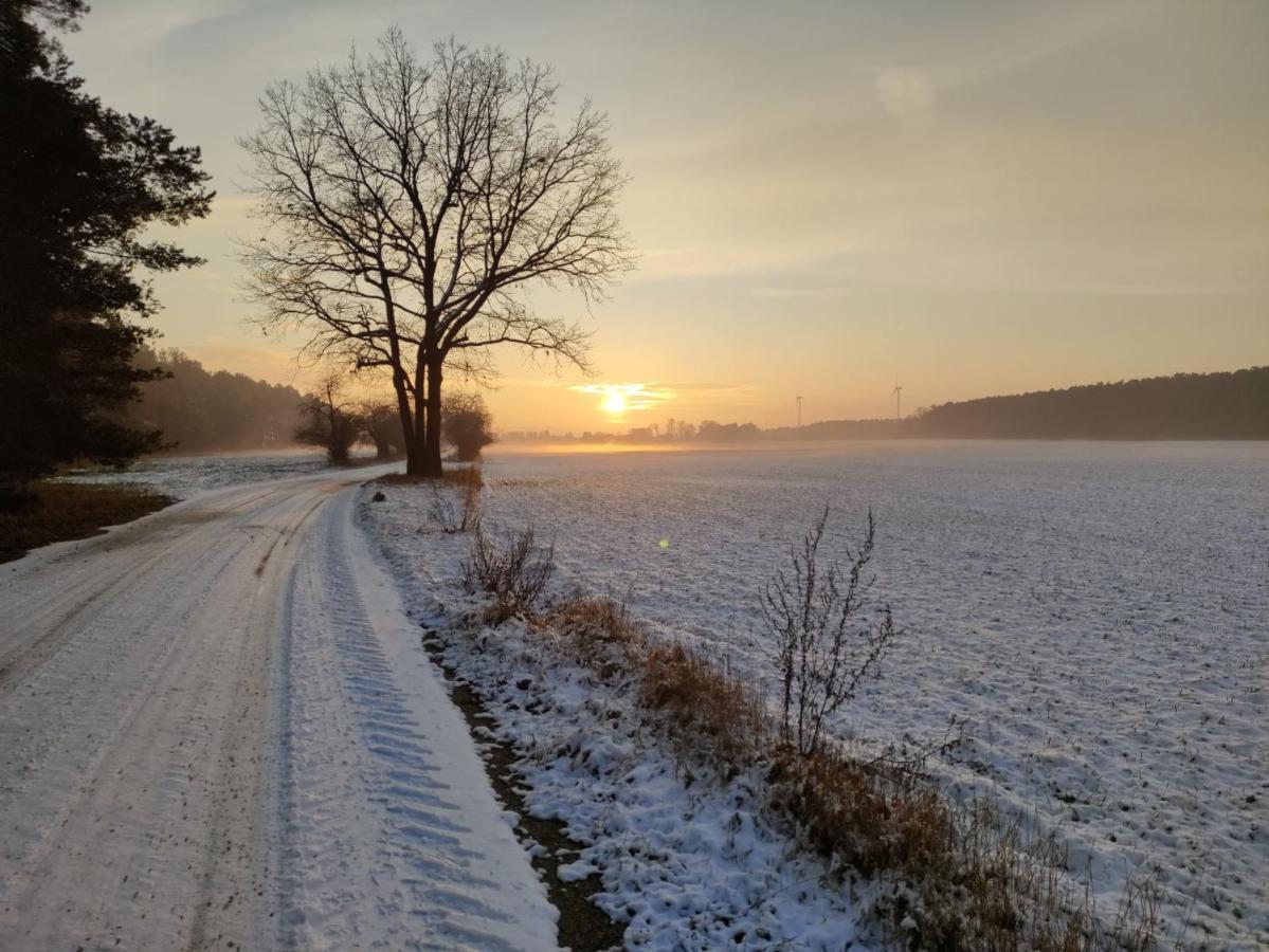 Ferienhaus Erna Doberlug-Kirchhain ภายนอก รูปภาพ