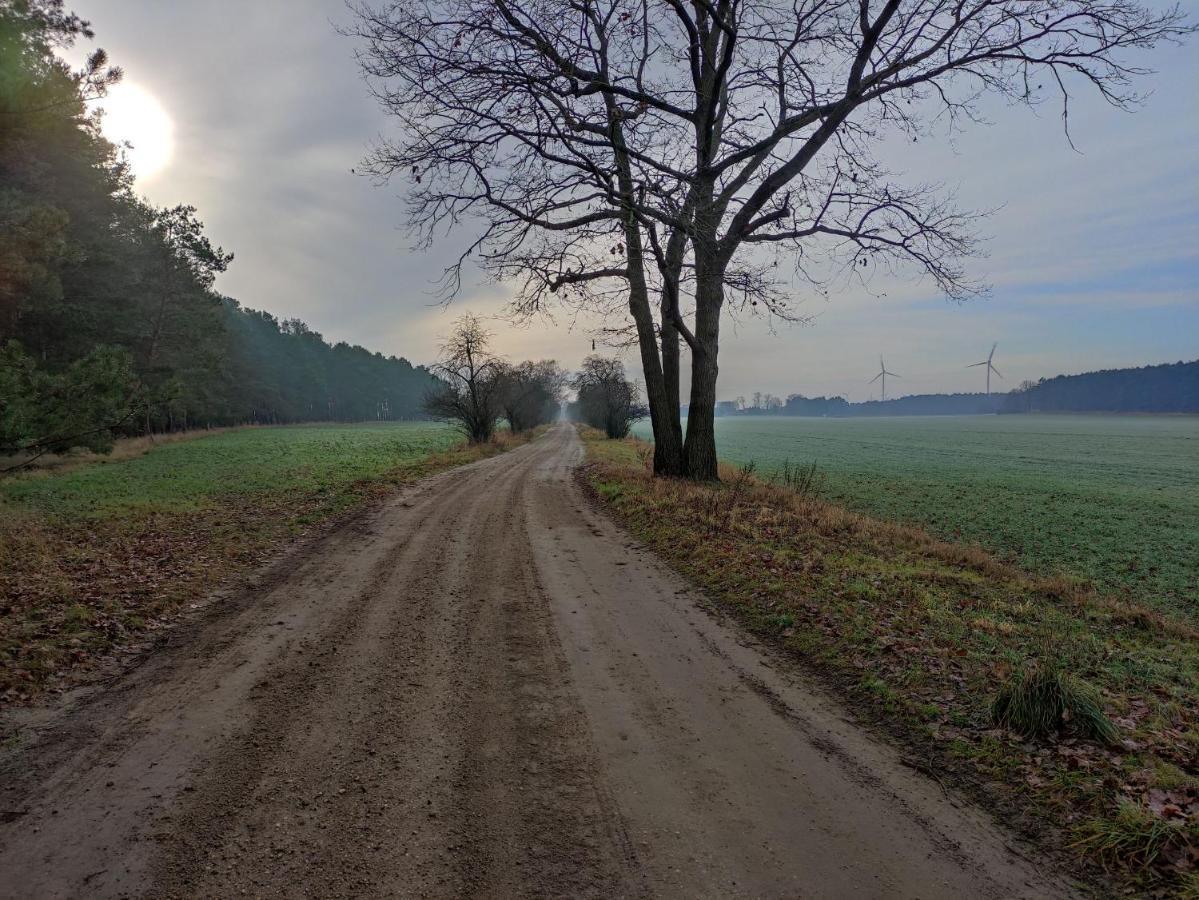 Ferienhaus Erna Doberlug-Kirchhain ภายนอก รูปภาพ