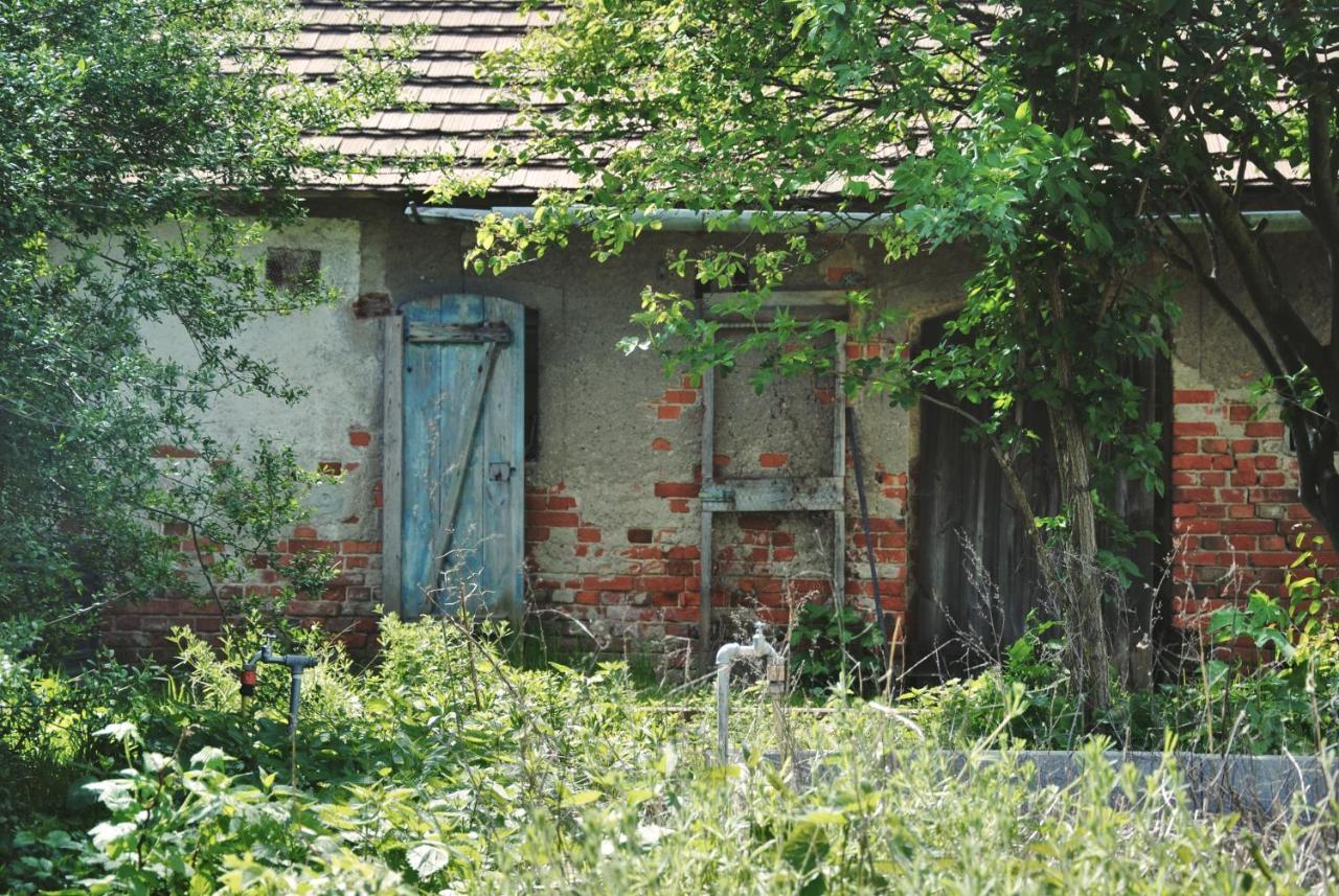 Ferienhaus Erna Doberlug-Kirchhain ภายนอก รูปภาพ
