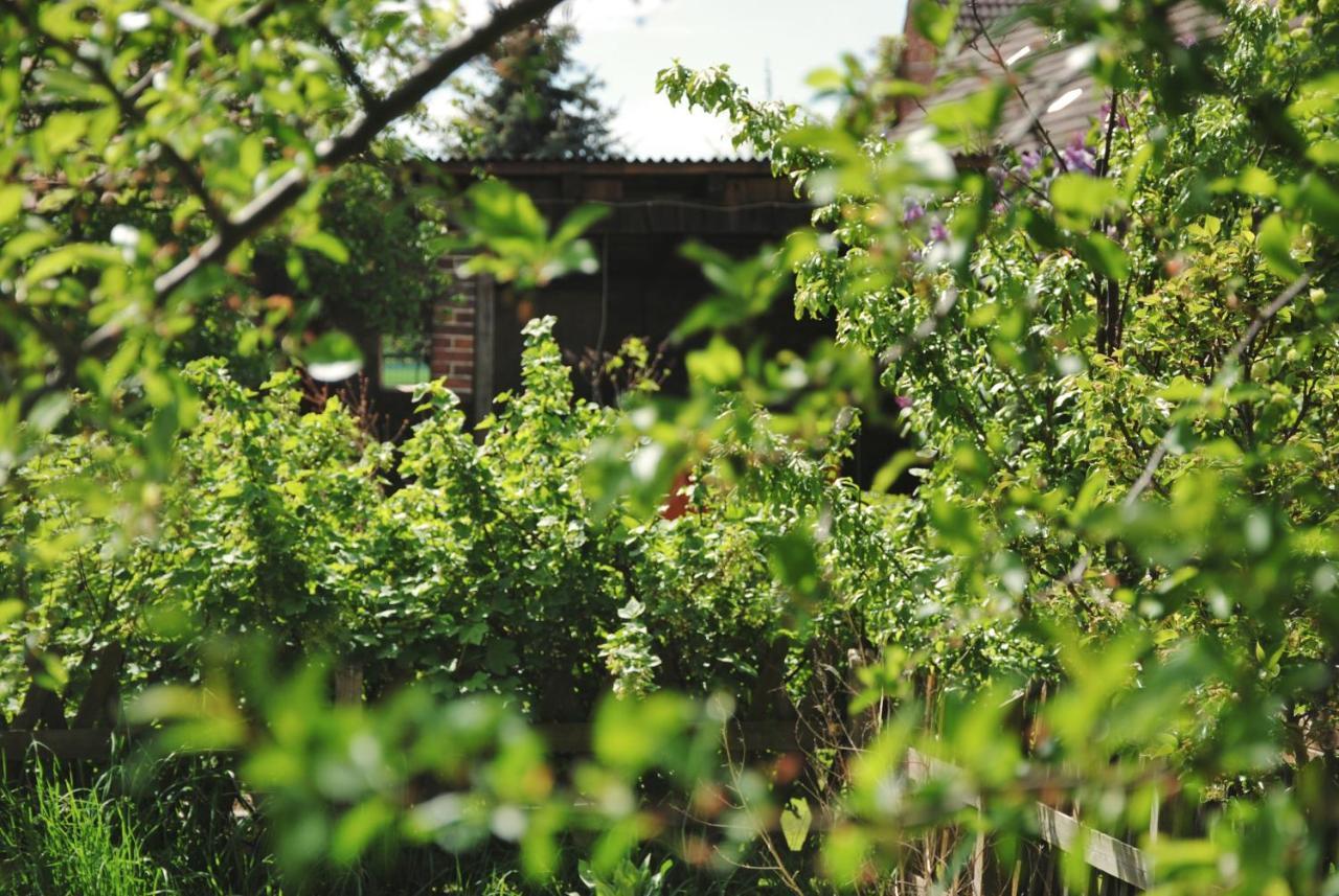 Ferienhaus Erna Doberlug-Kirchhain ภายนอก รูปภาพ